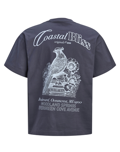 Jack & Jones - JORMaine Back Crew T-Shirt - Odyssey Gray